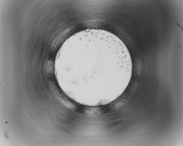 X0000103970081200810171935