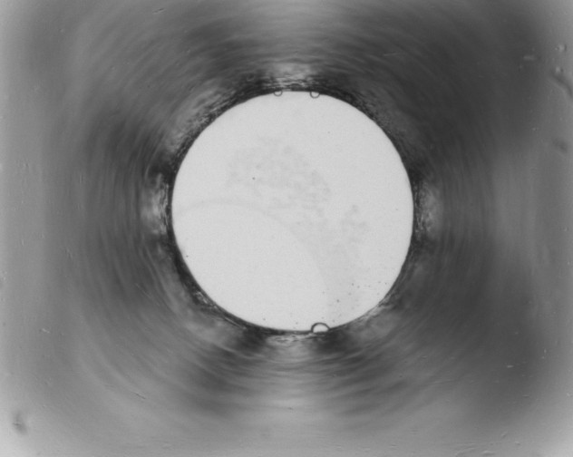 X0000103970082200810171935