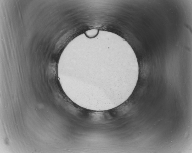 X0000103970085200810171935