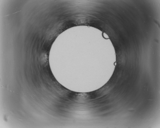 X0000103970087200810171935