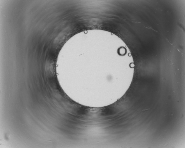X0000103970088200810171935