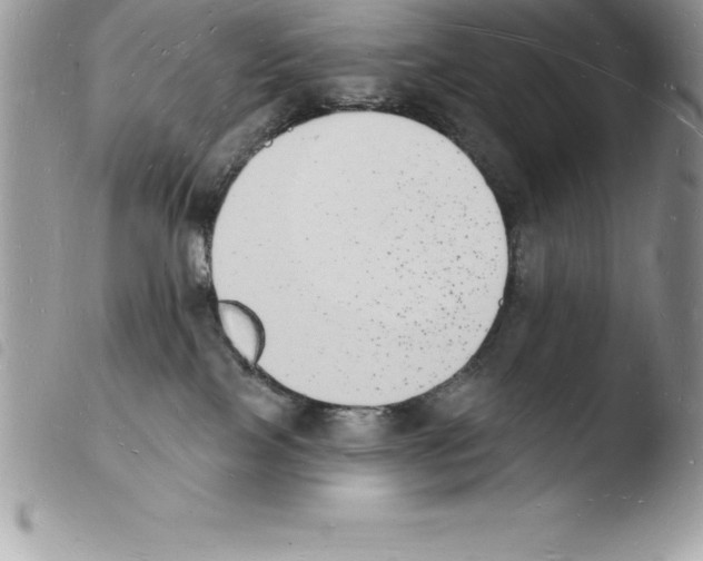 X0000103970089200810171935