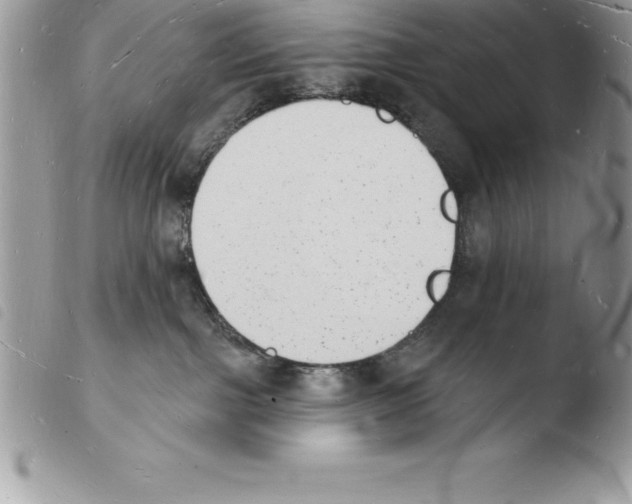 X0000103970091200810171935