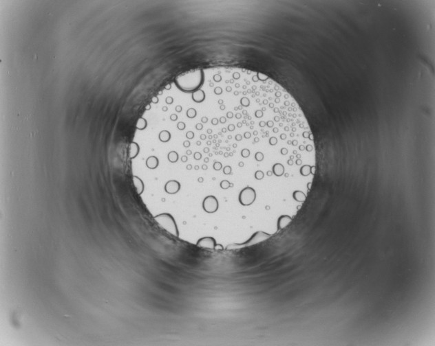X0000103970093200810171935