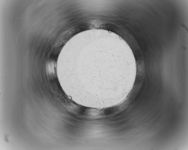 X0000103970094200810171935