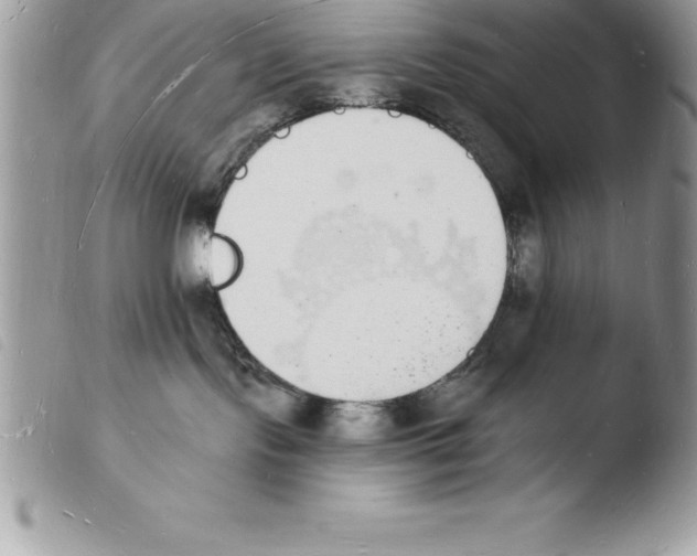 X0000103970095200810171935