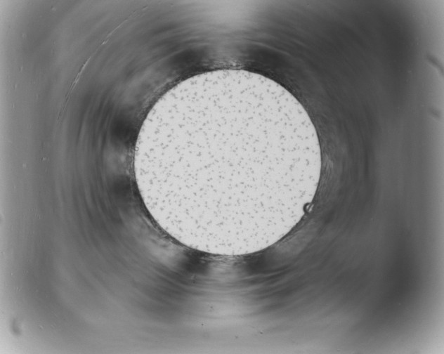X0000103970096200810171935
