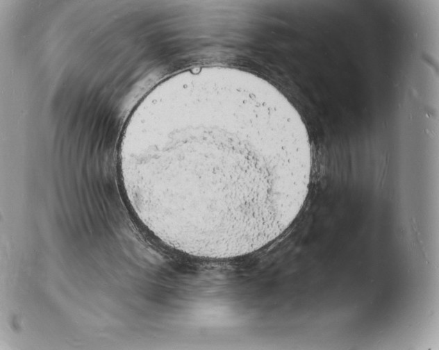 X0000103970099200810171934