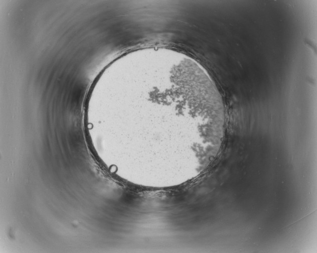 X0000103970100200810171934
