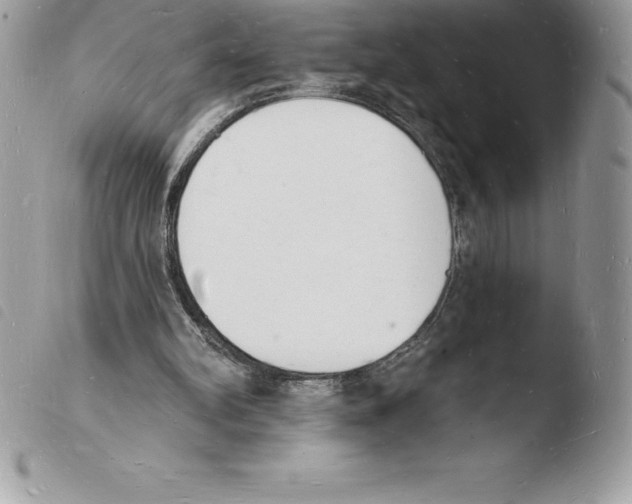 X0000103970102200810171934