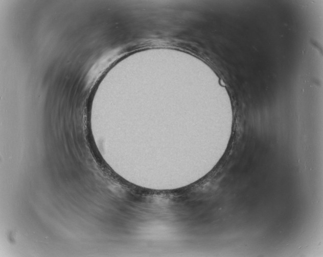 X0000103970103200810171934