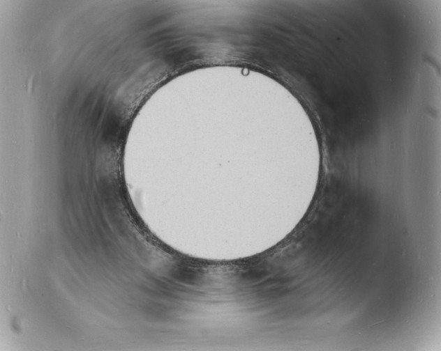 X0000103970105200810171934