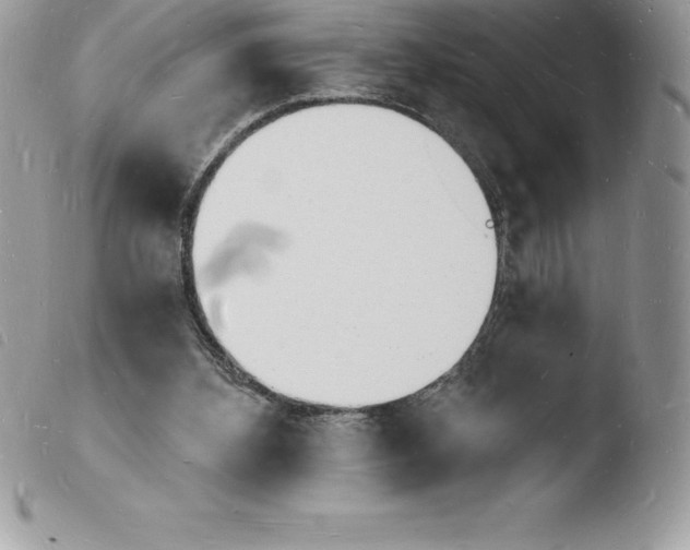 X0000103970108200810171934