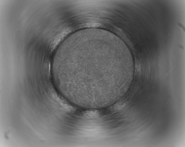 X0000103970110200810171934