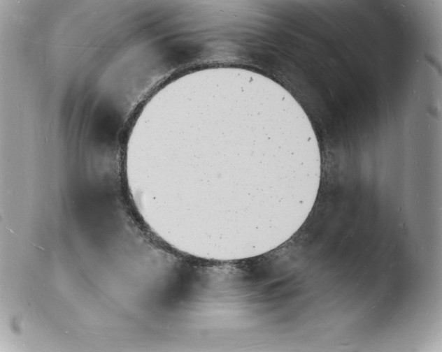 X0000103970112200810171934