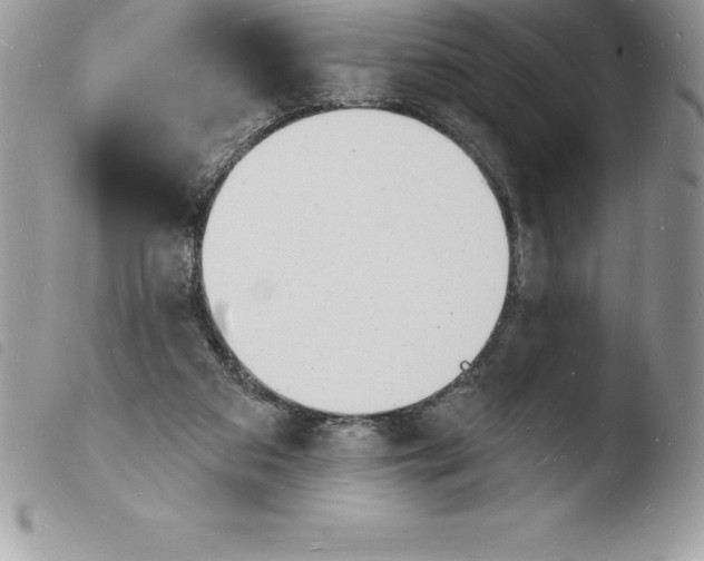 X0000103970113200810171934