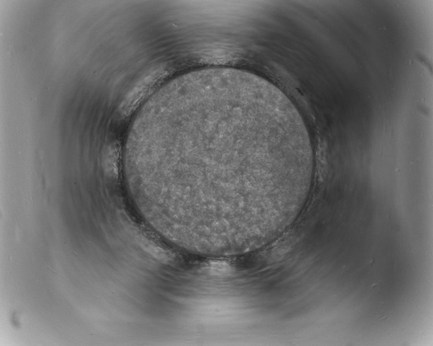 X0000103970114200810171934