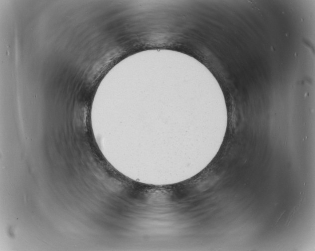 X0000103970115200810171934