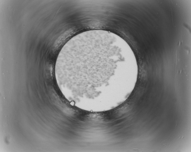 X0000103970117200810171934