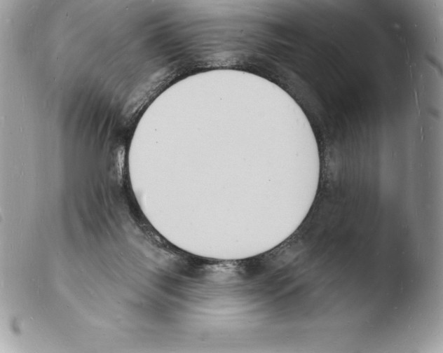 X0000103970118200810171934