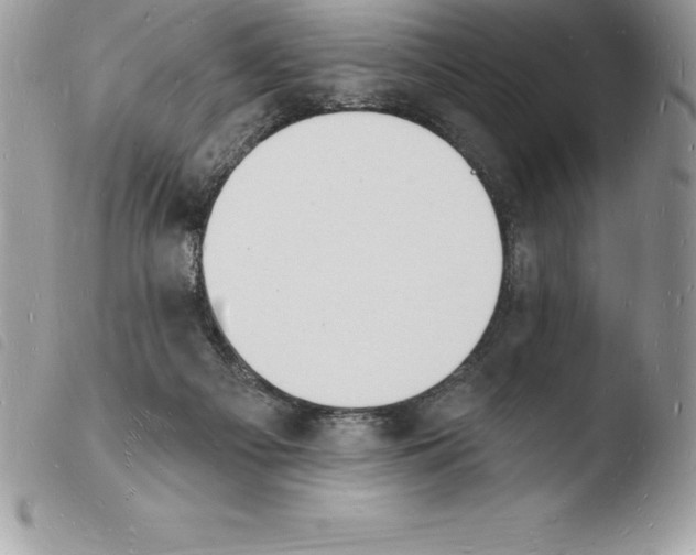 X0000103970121200810171934