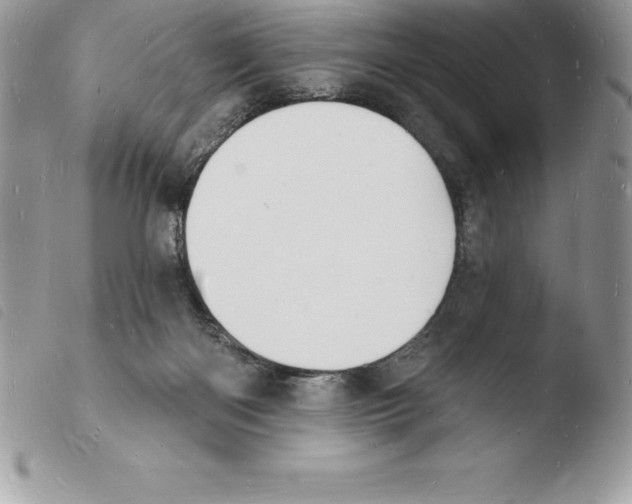 X0000103970122200810171934