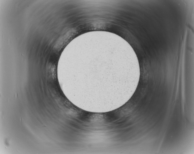 X0000103970123200810171934