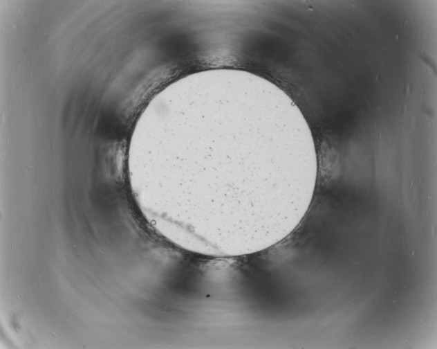 X0000103970124200810171934
