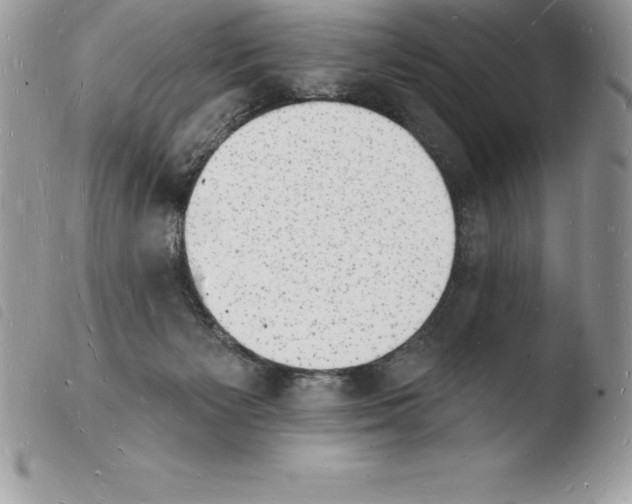 X0000103970125200810171934