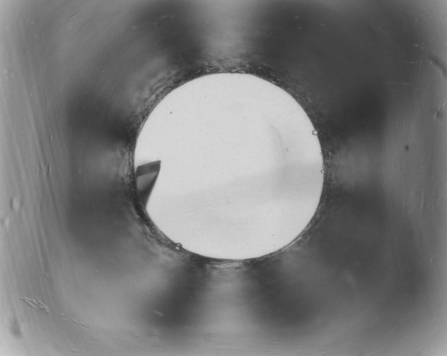 X0000103970132200810171934