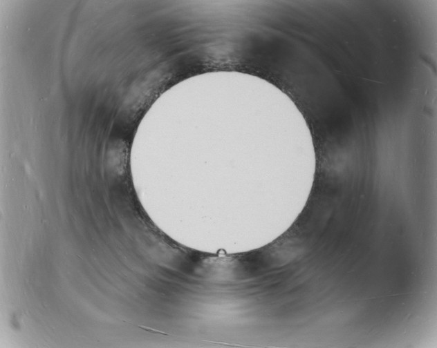 X0000103970133200810171934