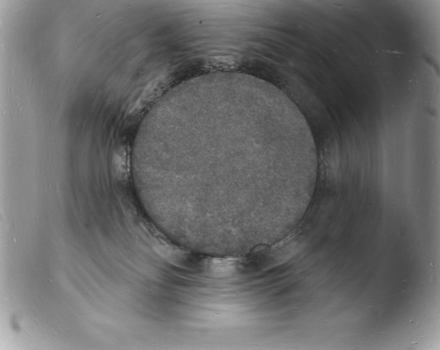 X0000103970134200810171934