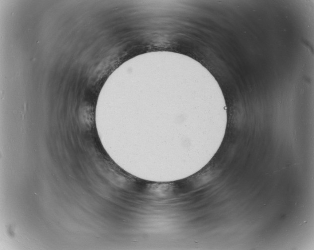 X0000103970135200810171934