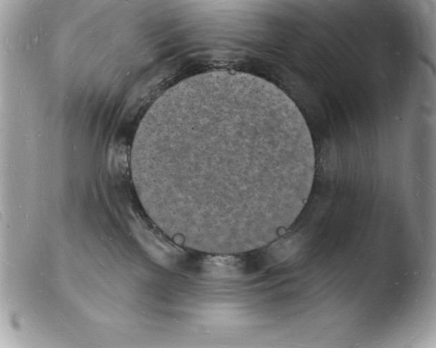 X0000103970137200810171934