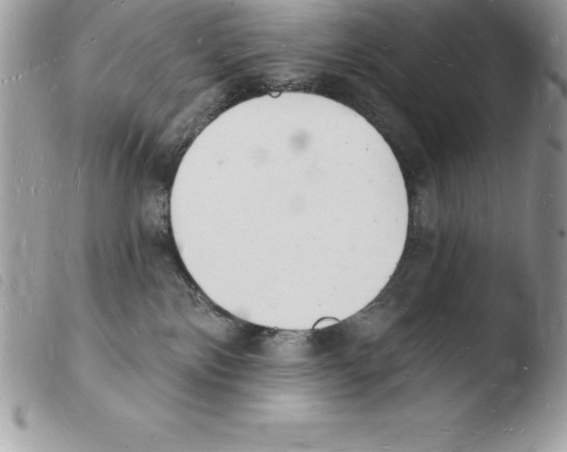 X0000103970138200810171934