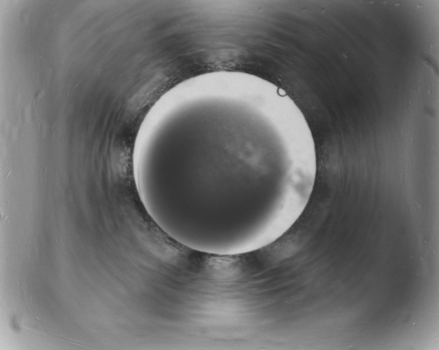 X0000103970139200810171934