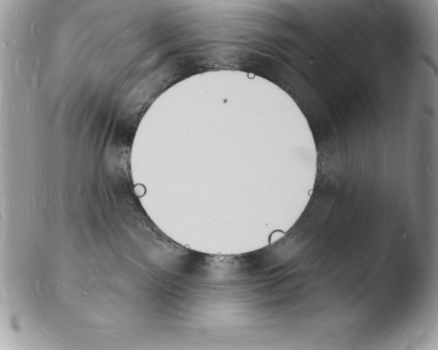 X0000103970141200810171934