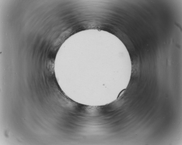 X0000103970142200810171934
