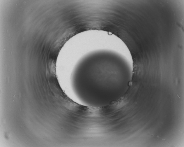 X0000103970143200810171934