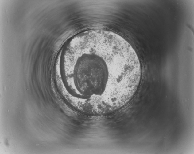 X0000103970145200810171933