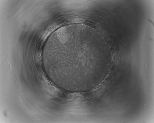 X0000103970146200810171933
