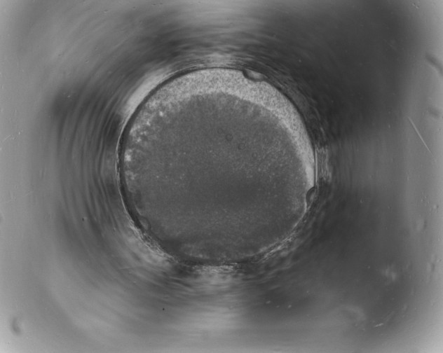 X0000103970147200810171933