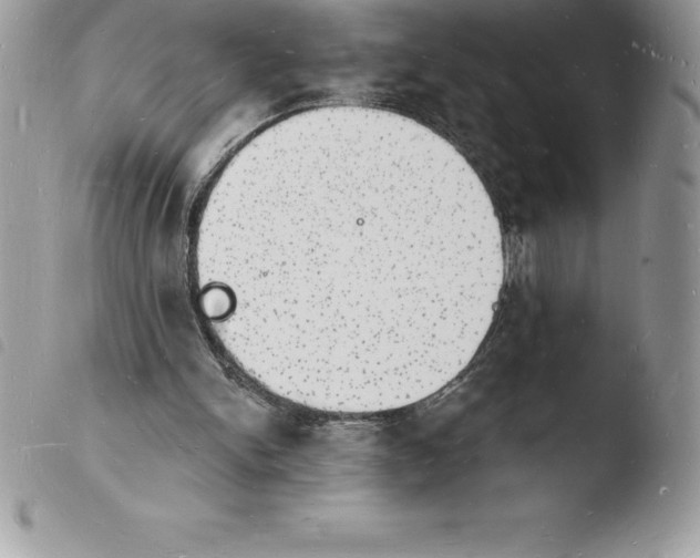 X0000103970150200810171933