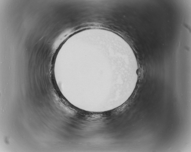 X0000103970151200810171933