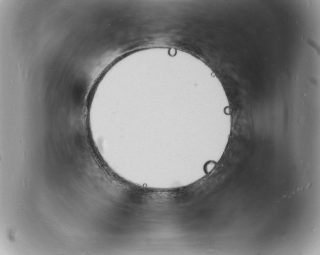X0000103970152200810171933