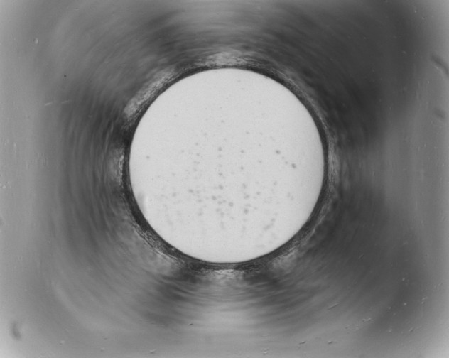 X0000103970153200810171933