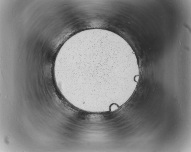 X0000103970154200810171933