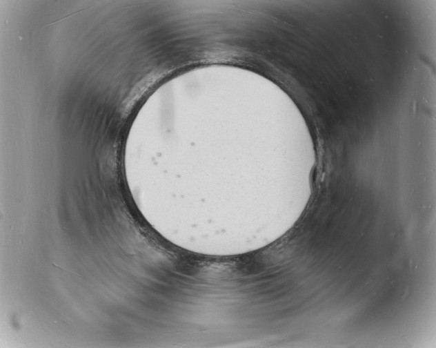 X0000103970155200810171933