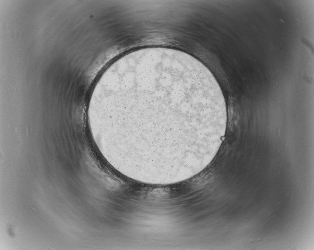 X0000103970156200810171933