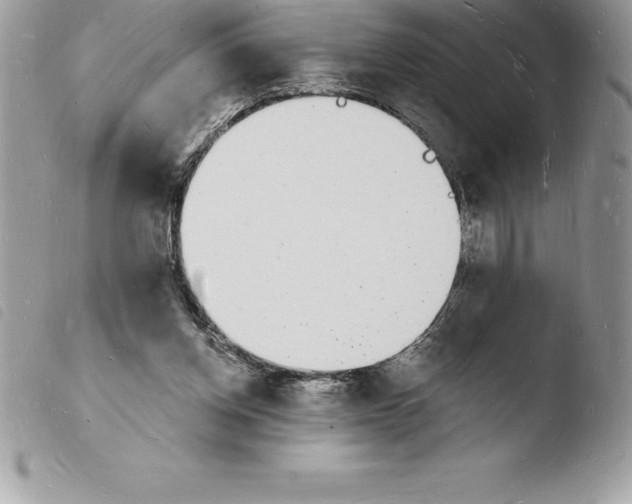 X0000103970158200810171933
